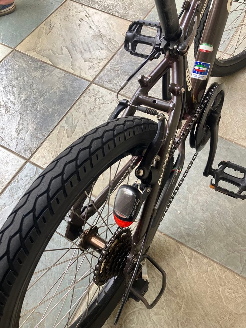 ☆ジオス キッズ GENOVA BROWN 20インチ GIOS ブラウン ☆