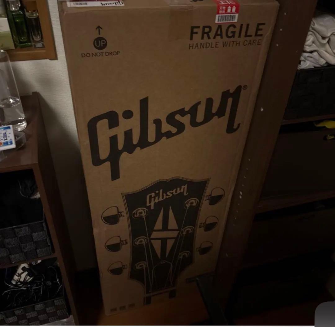 ギター Ibanez Signature MODEL Tim Henson TOD10