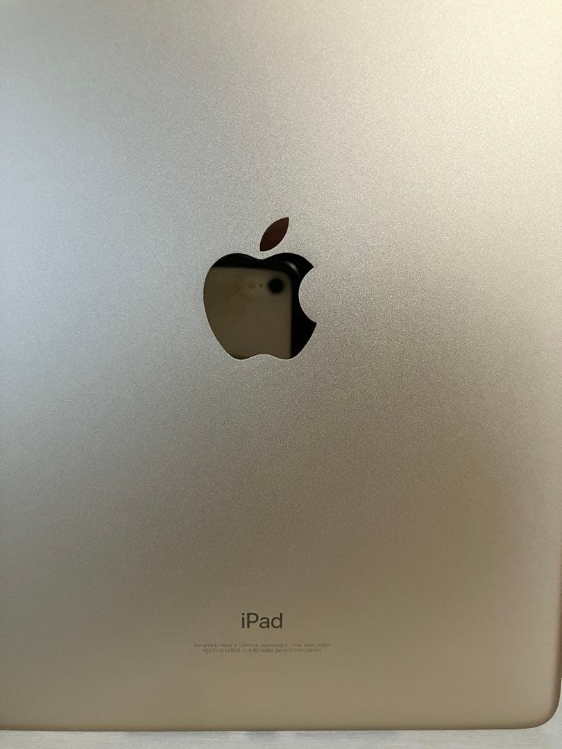 iPad第5世代(A1823)本体32GB送料込 ゴールド スタンドカバー付き