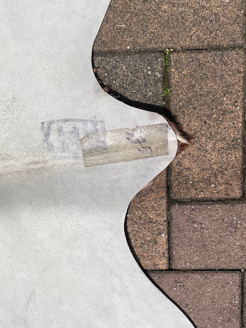 天然牛革ラグ 約210cm x 約195cm/本革大判本物/大きめカウラグ