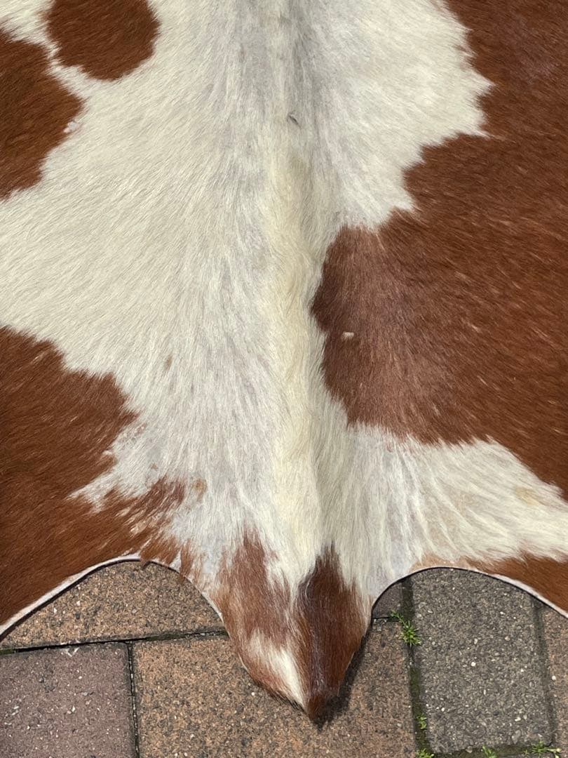 天然牛革ラグ 約210cm x 約195cm/本革大判本物/大きめカウラグ
