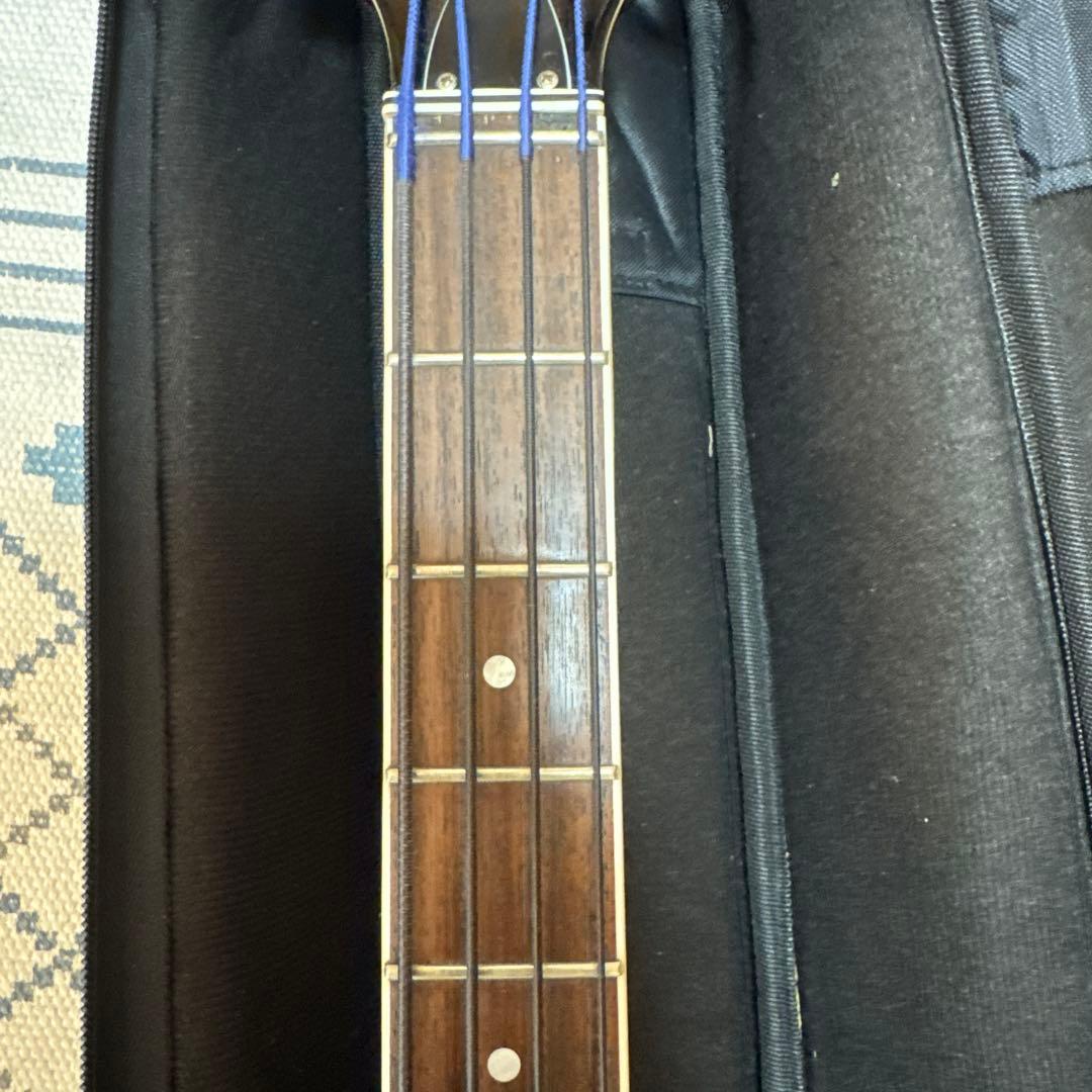 Hofner HCT-500/1 サンバースト ソフトケース付き