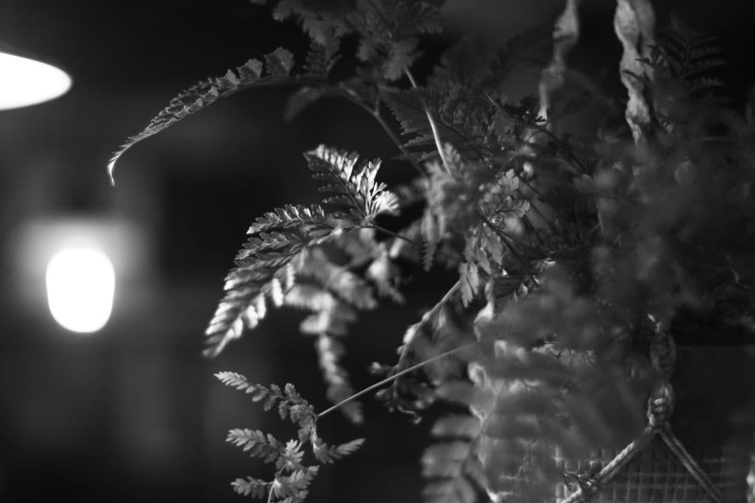 O*t様 FUJI EBC FUJINON 50mm f1.4