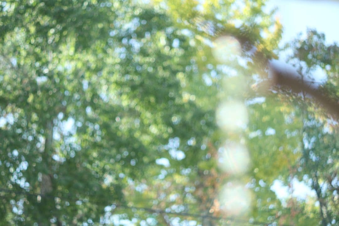 O*t様 FUJI EBC FUJINON 50mm f1.4