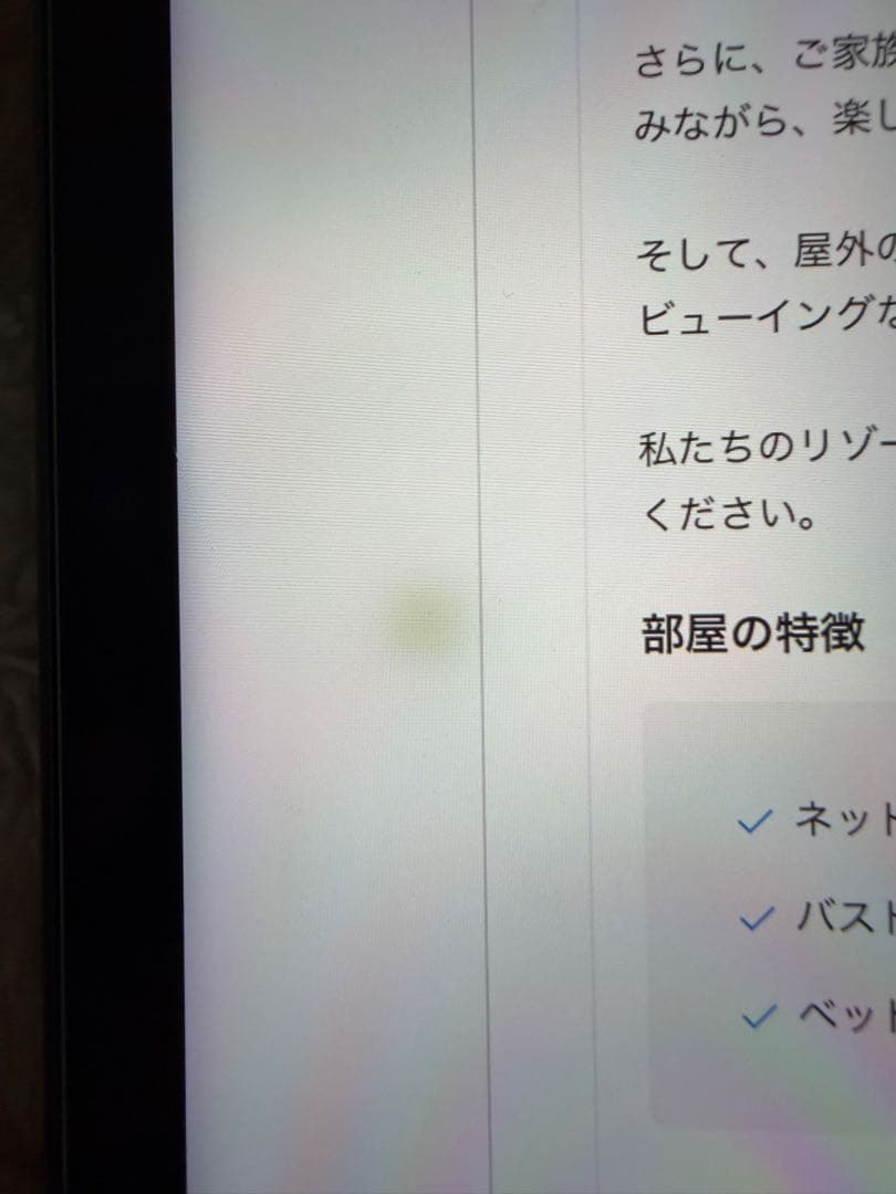 iPad Pro12.9 第5世代 セルラー