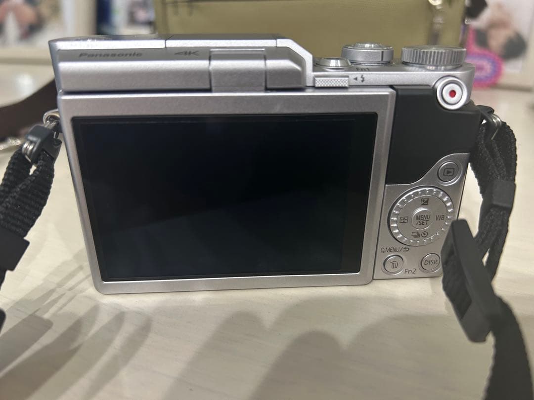 LUMIX ミラーレス一眼カメラ シルバー レンズ2本付き　DC-GF9