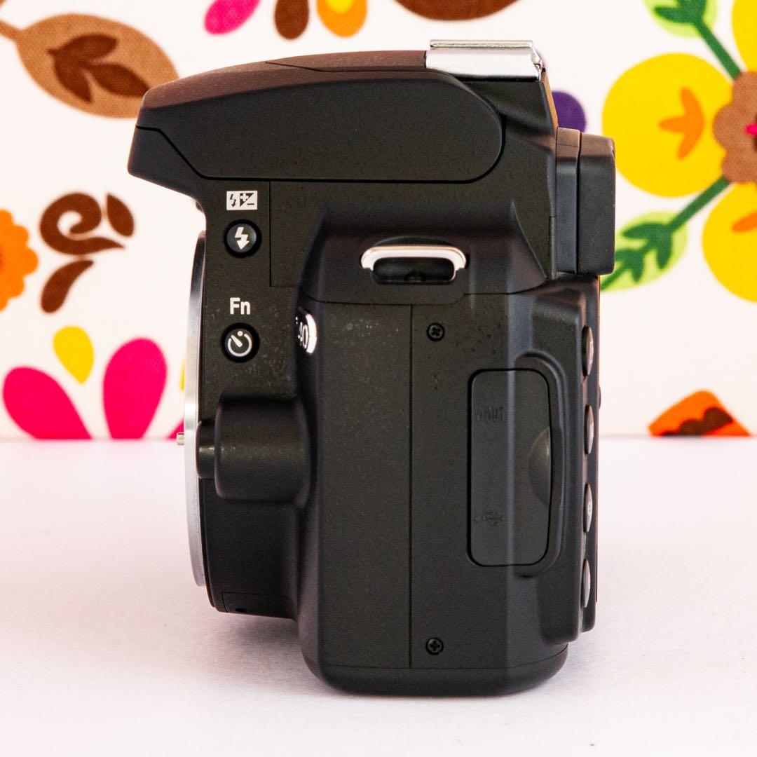 ❤️ニコンNikon D40❤️ iPhone転送❤️ショット数1561枚❤️