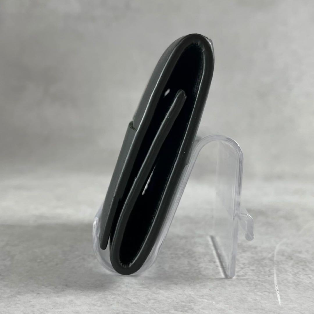 未使用級/RFIDタグ✨ボッテガヴェネタ　ケース　マキシイントレチャート