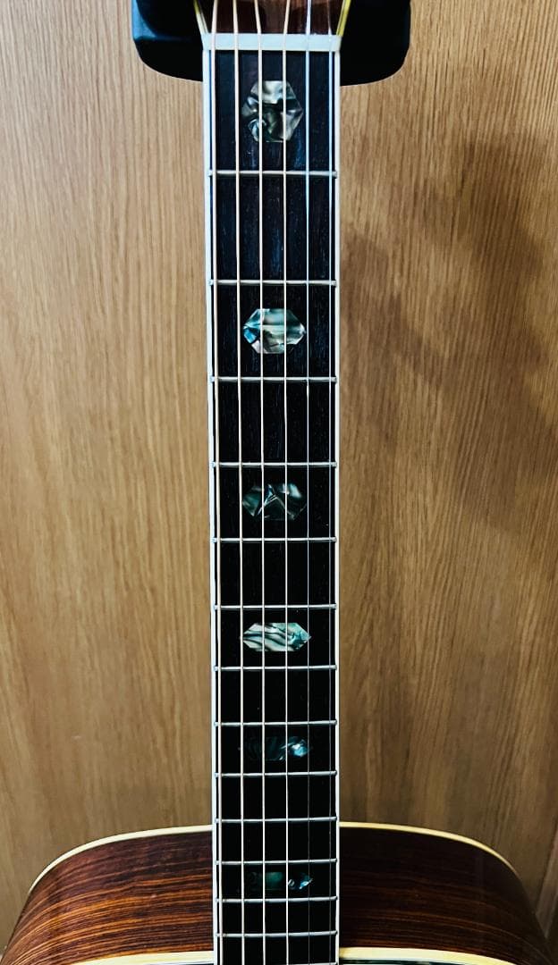 【値下中】東海楽器 Cat's eyes CE-450E 状態良