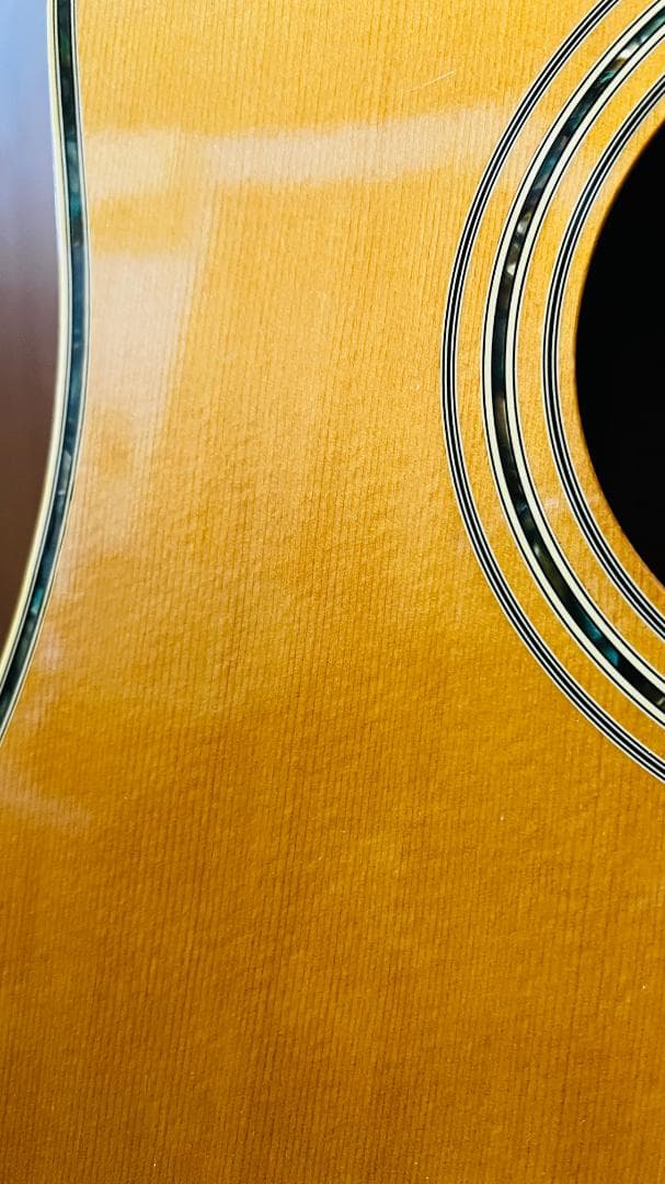 【値下中】東海楽器 Cat's eyes CE-450E 状態良