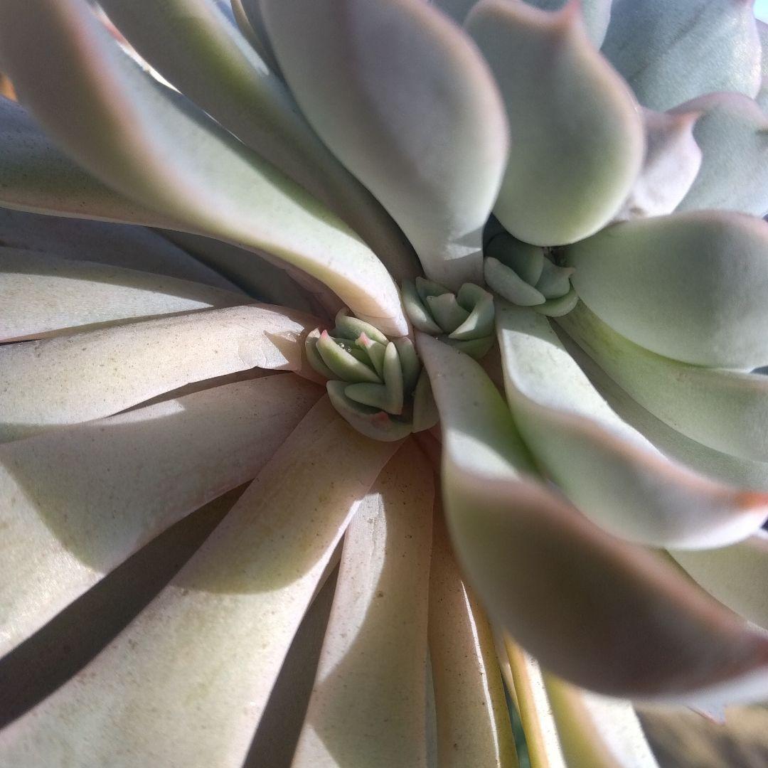 アサ様 リクエスト 5点 まとめ商品