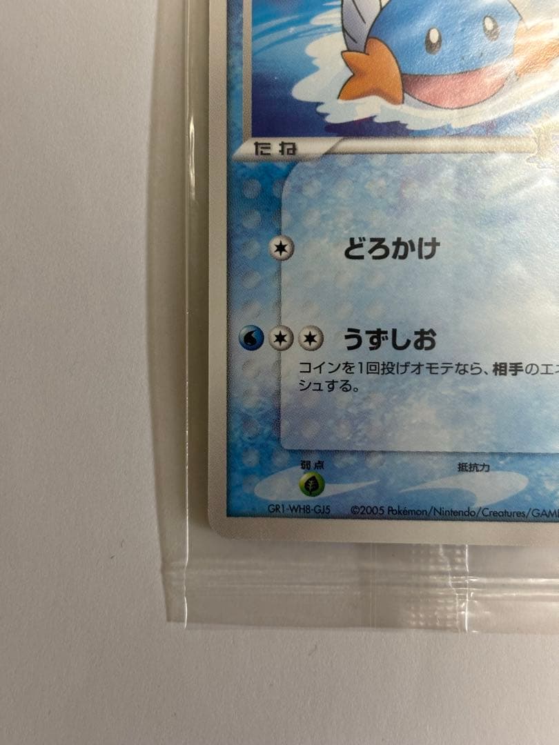 ポケパークのミズゴロウ　未開封