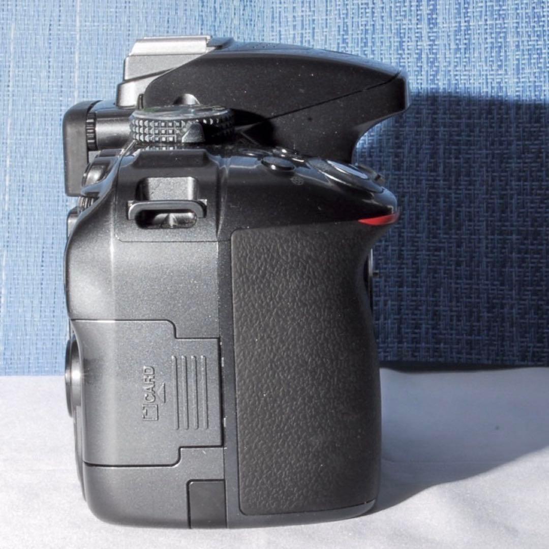 D5300 訳あり品！　✨ボディー傷少なく美品です✨　レアカラー　ＡＦ動作不良