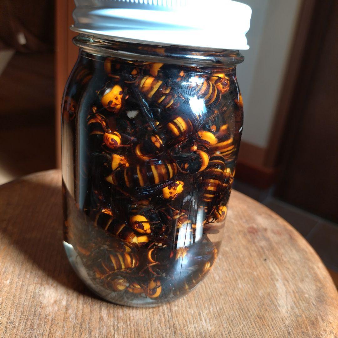 スズメバチ　焼酎　NPT