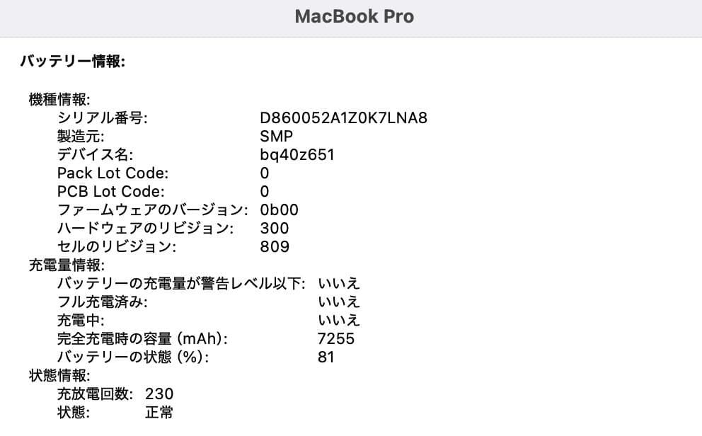 MacBook Pro 16インチ シルバー Intel・16GB・500GB