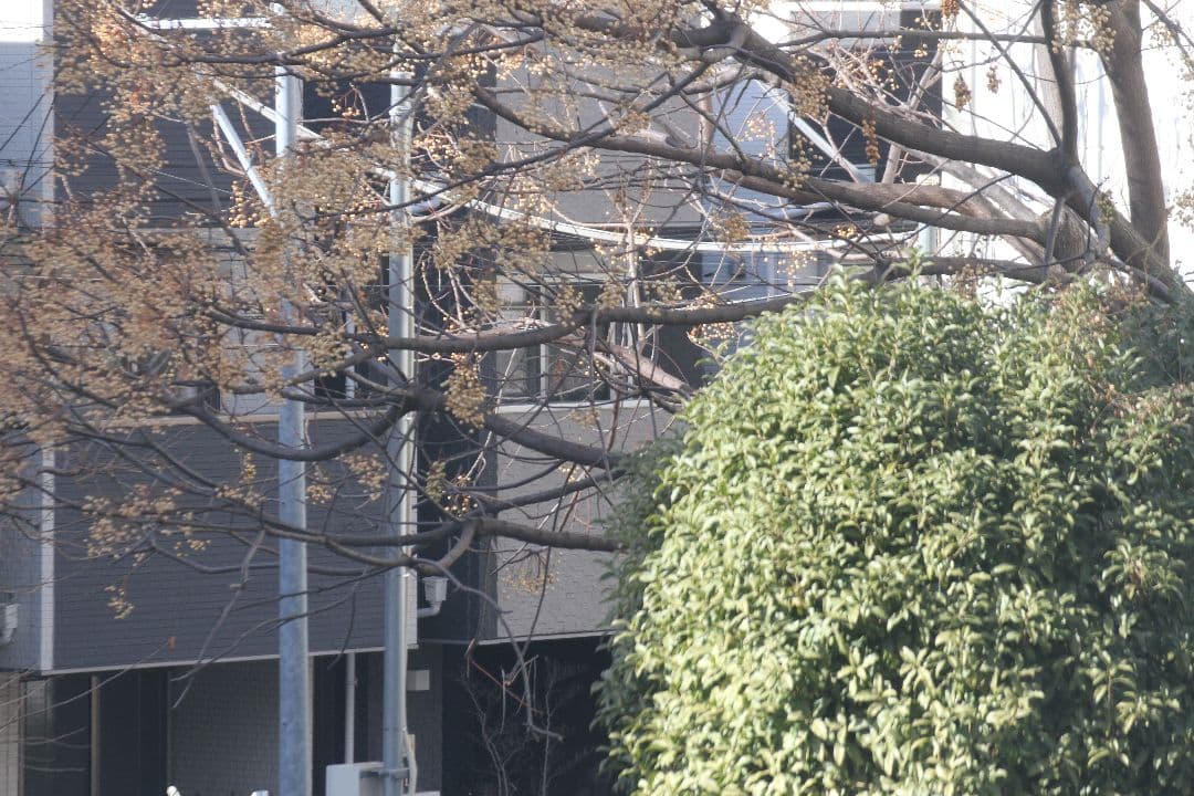 TAMRON SP 70-300mm F4-5.6 Di VC USD EF用