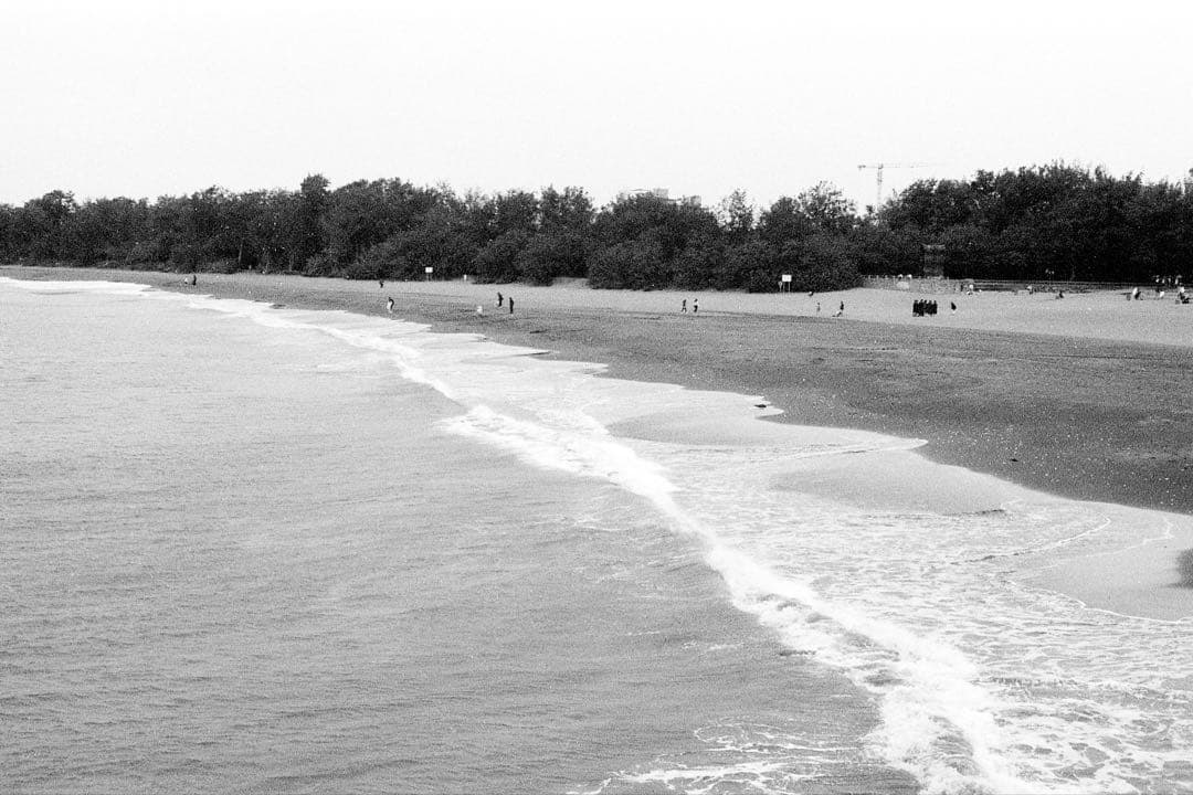 elmar 50mm f3.5 整備済み + フードVALOO・L/Mリング