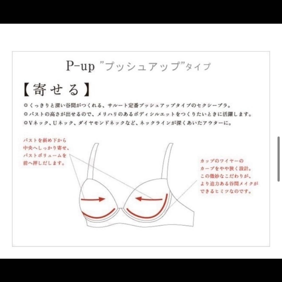 サルート　F70/M/M　GR　93　P-upブラ　ソング　ガーターベルト