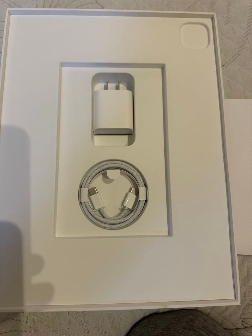 iPad Pro 13インチ　wifiモデル　シルバー 充電器付き　m4