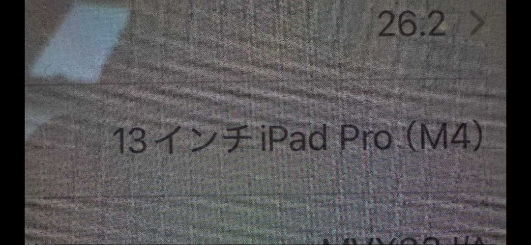 iPad Pro 13インチ　wifiモデル　シルバー 充電器付き　m4