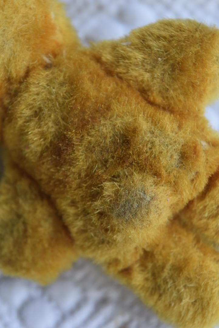 akiさま専用　small teddy bear 　小さなテディベア