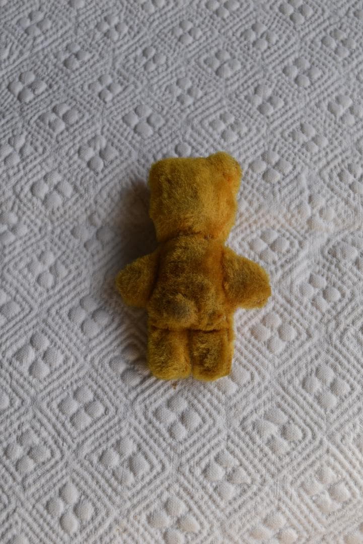 akiさま専用　small teddy bear 　小さなテディベア