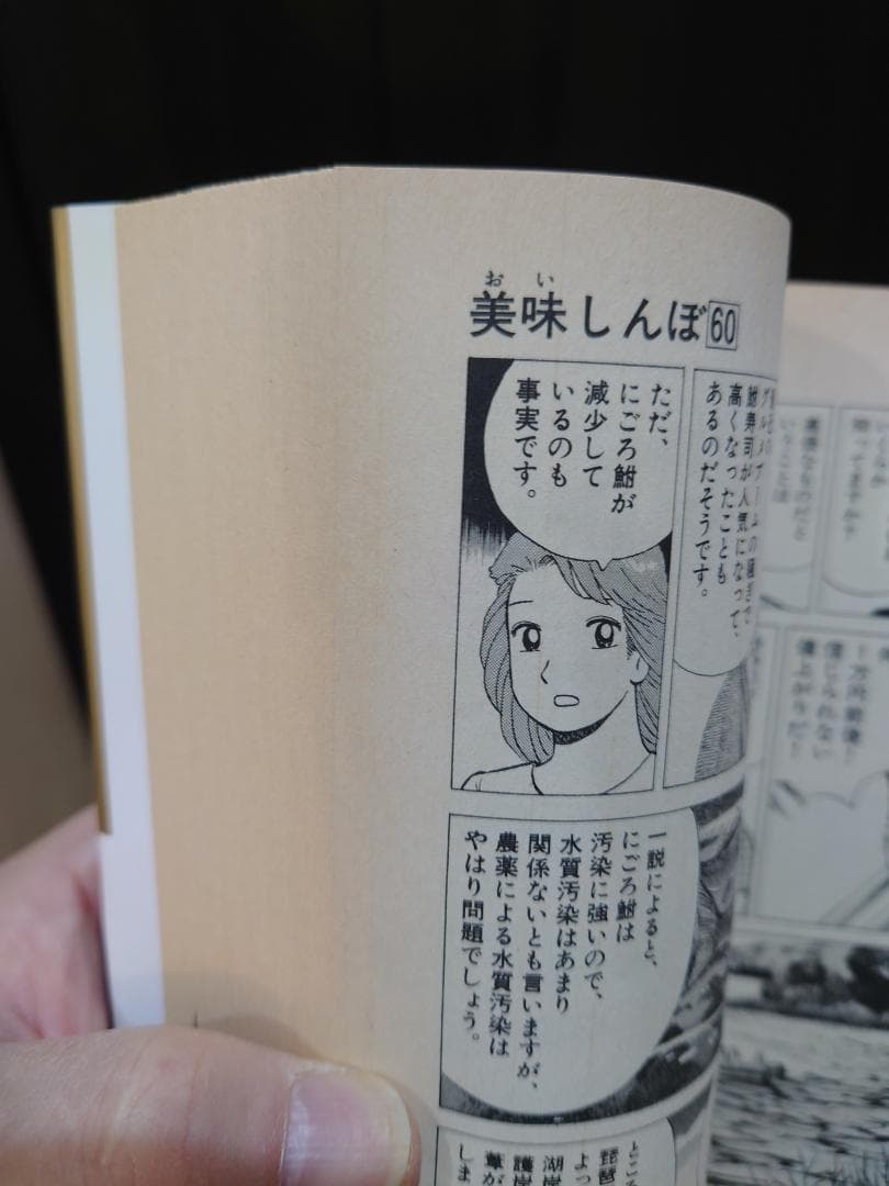 美味しんぼ　（雁屋哲　花咲アキラ）　第1～109巻