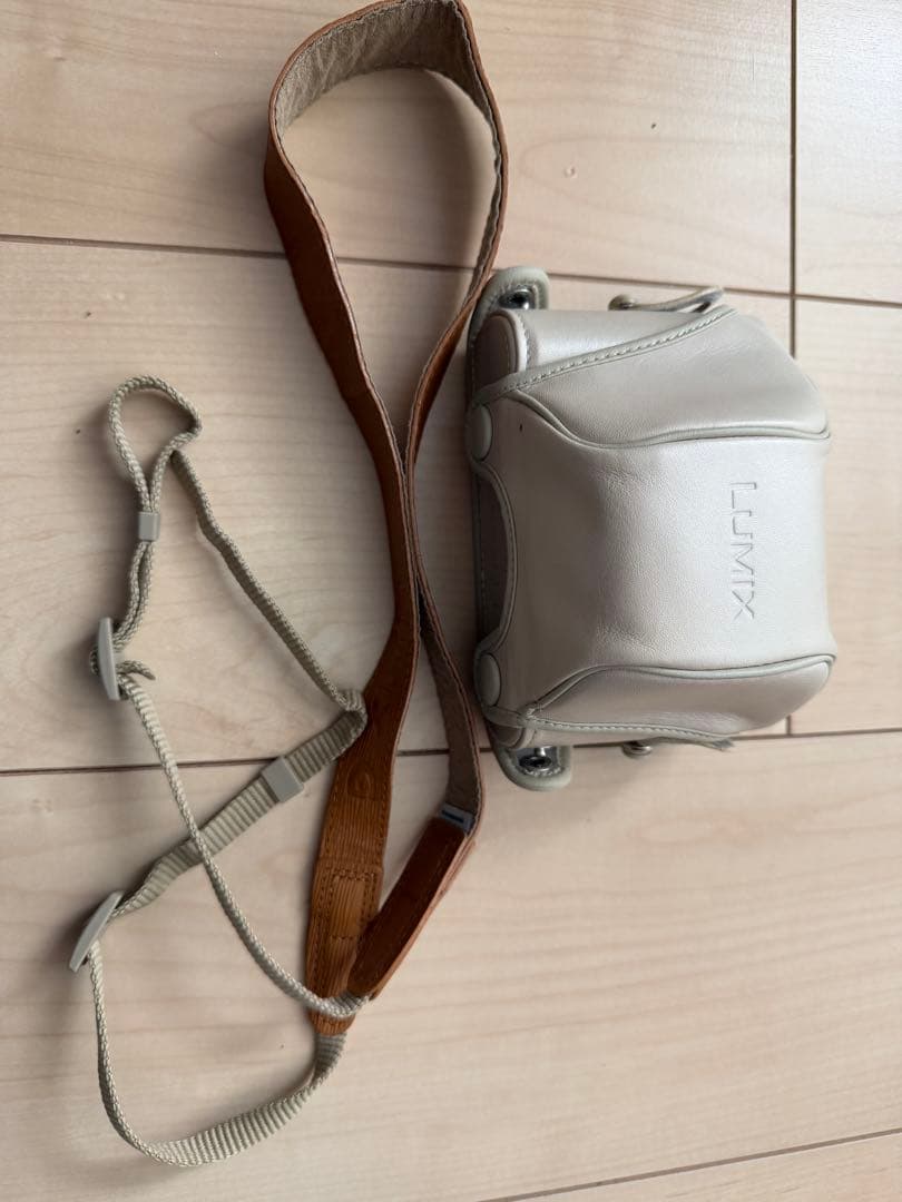 Panasonic GF1 ミラーレスカメラ 14-140mmレンズ