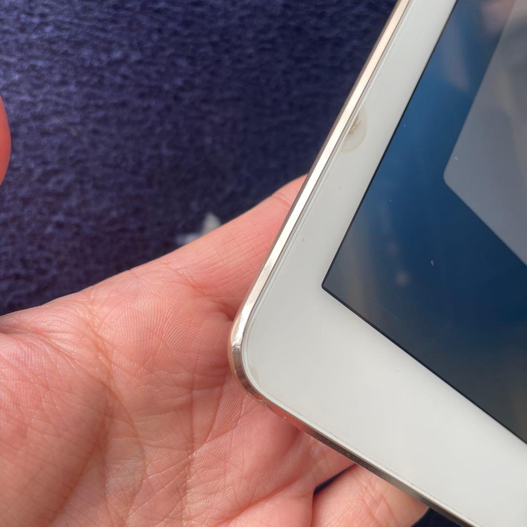 ⭐️AppleiPadAir2⭐️64GB ピンクゴールド本体　画面シール カバー付