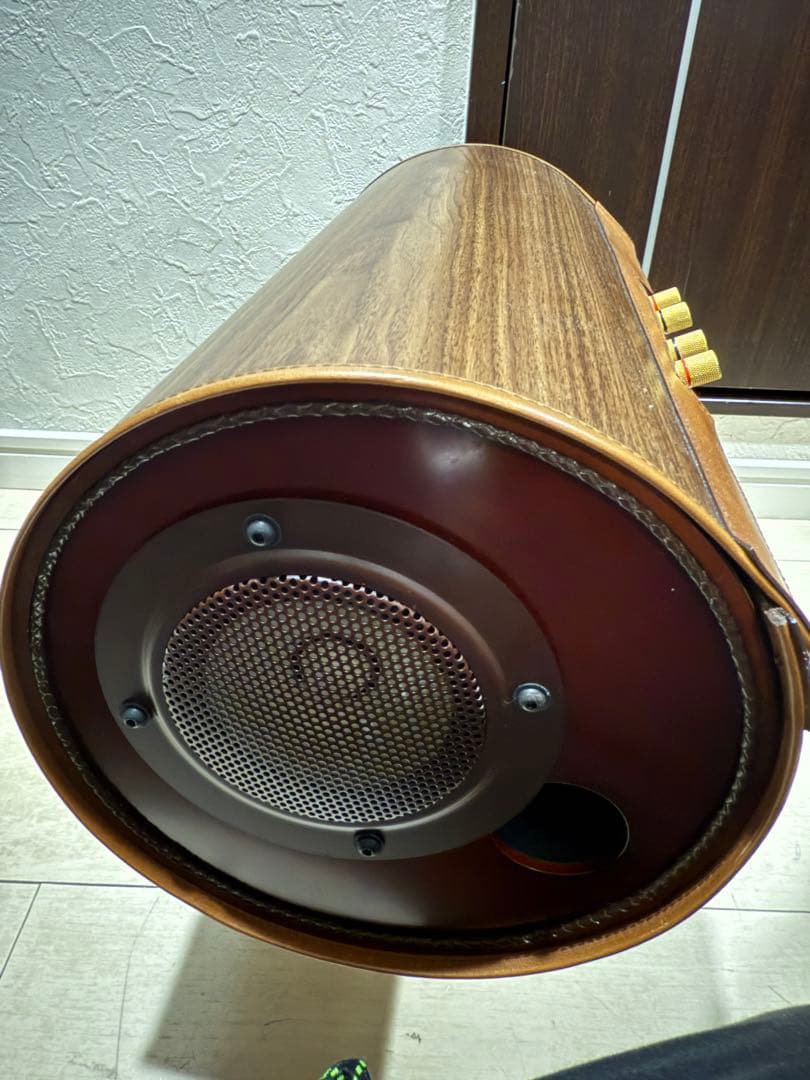 【カバー付き美品！】M'S System MS1001 波動スピーカー