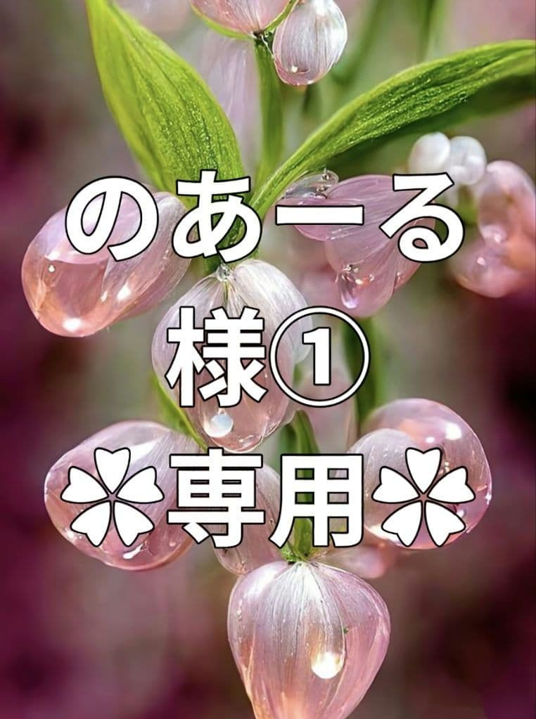 ✿のあーる様①·専用✿ハンドメイド　ピルケース