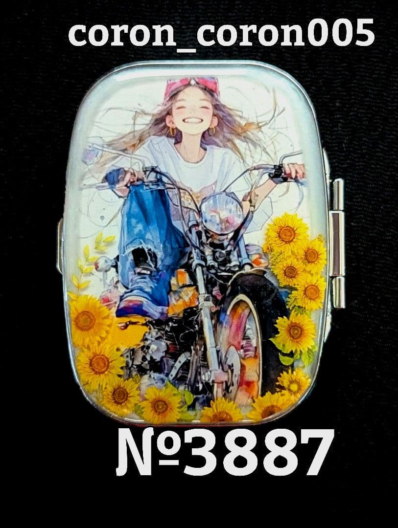 ✿のあーる様①·専用✿ハンドメイド　ピルケース