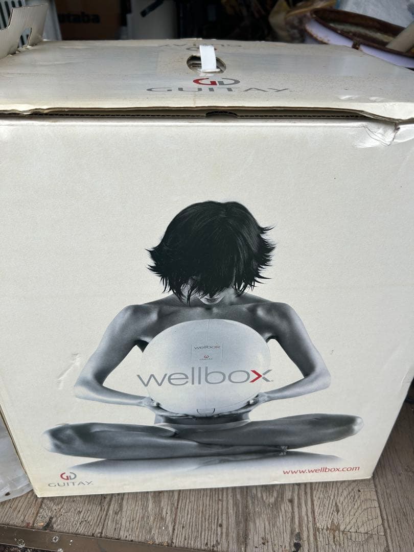 wellbox 美顔器