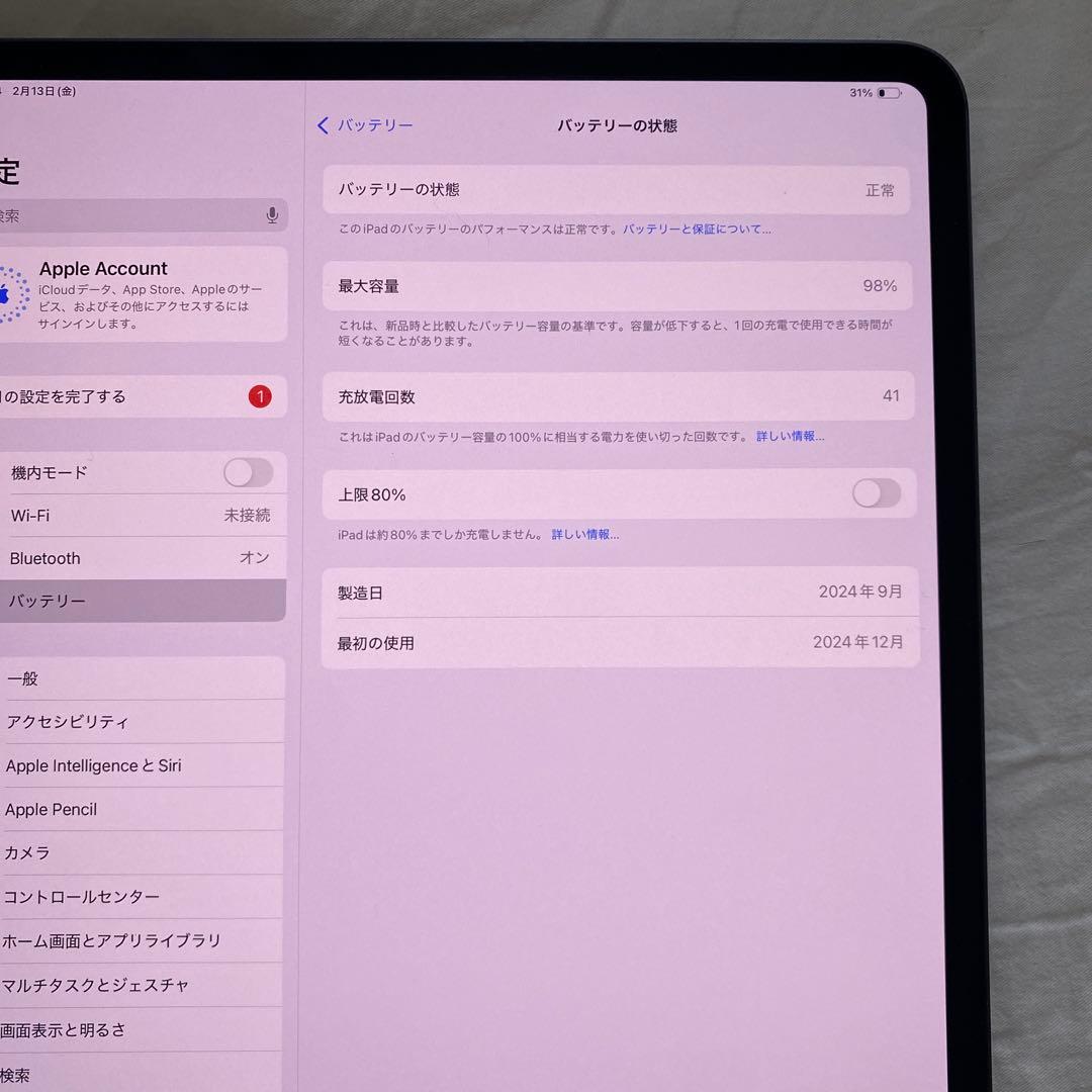iPad本体 iPad Pro M4 13 1TB + Apple pencil pro