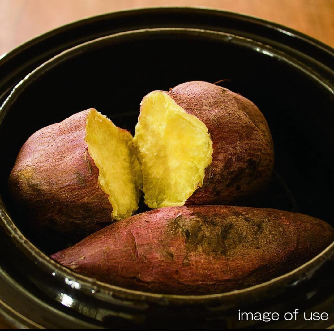 【新品未使用】いぶしぎん 大 2.4L・約28cm 長谷園 燻製器 土鍋