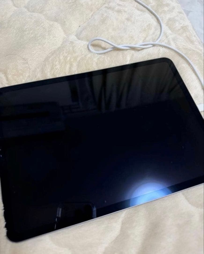 Apple iPad pro 第一世代