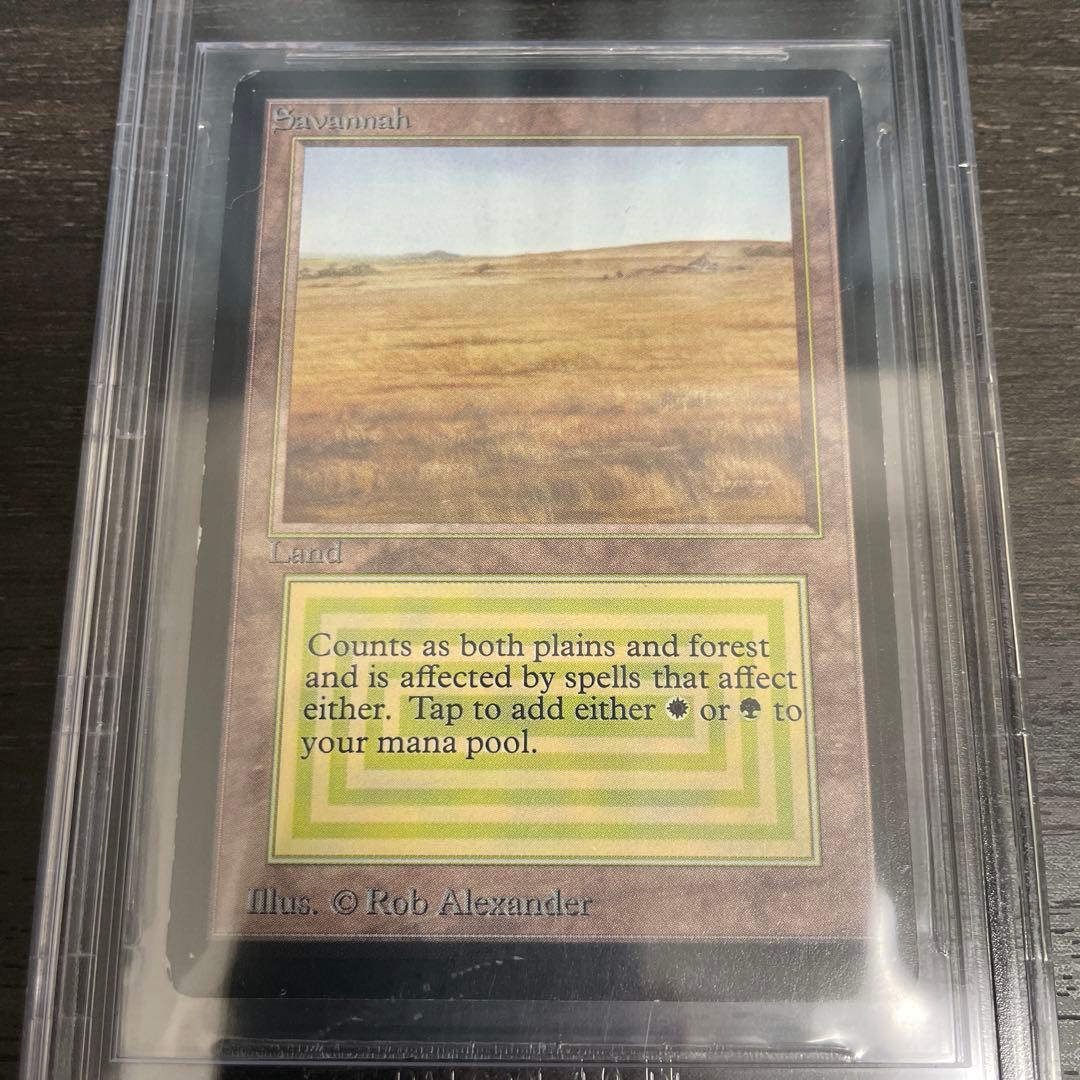 マジック：ザ・ギャザリング Savannah LEB BGS8