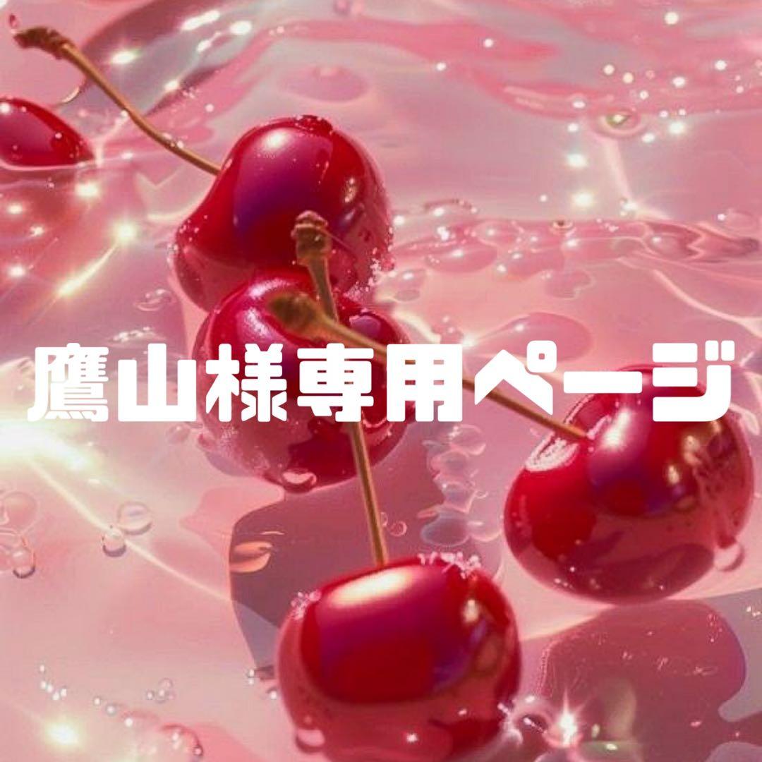 鷹山様お見積もりページ