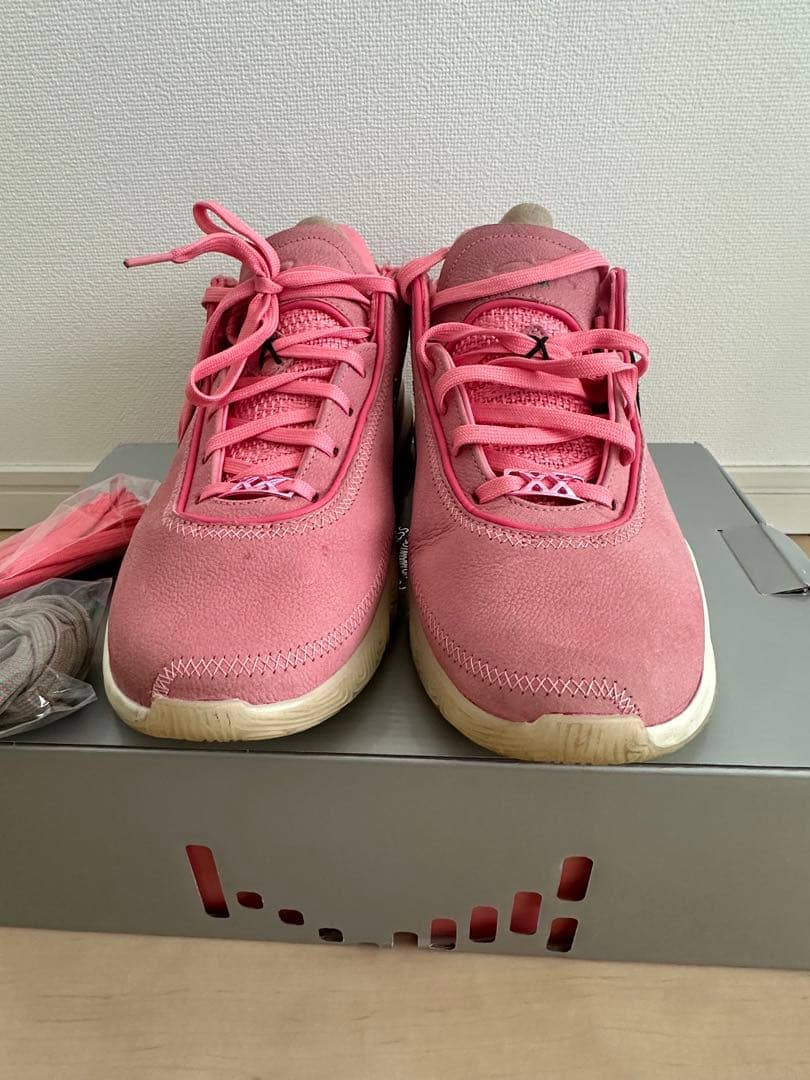 LEBRON XX EP レブロン20