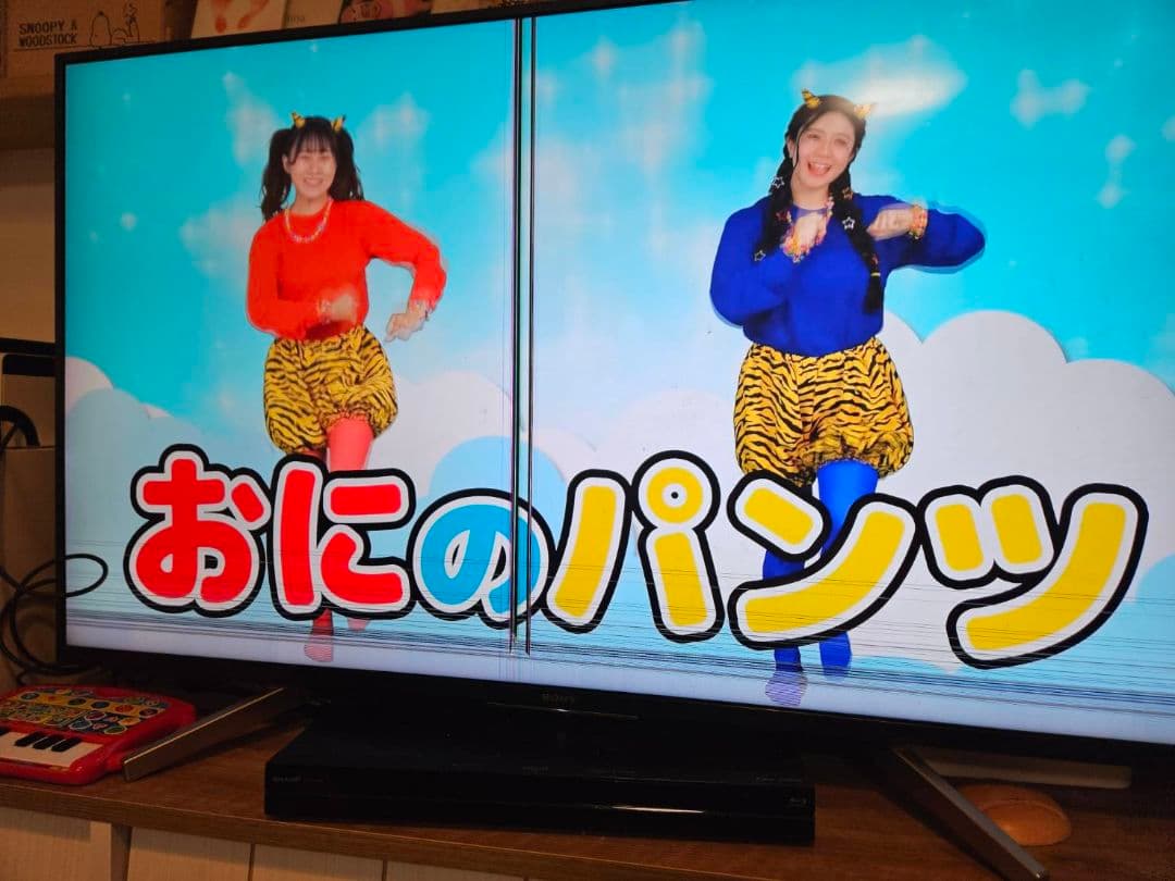 SONY 4Kテレビ KJ-49X8500F 49インチ　ジャンク