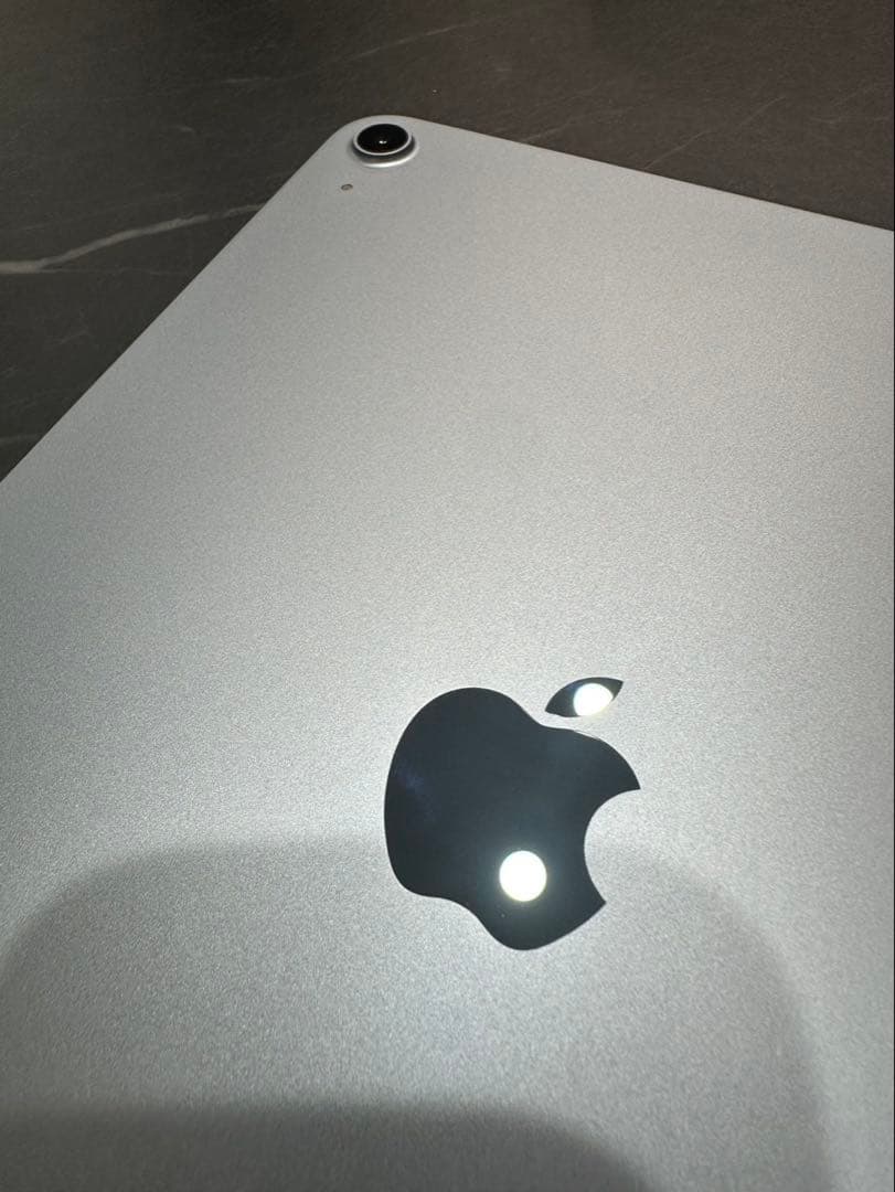 Apple iPad Air (第4世代) スカイブルー本体