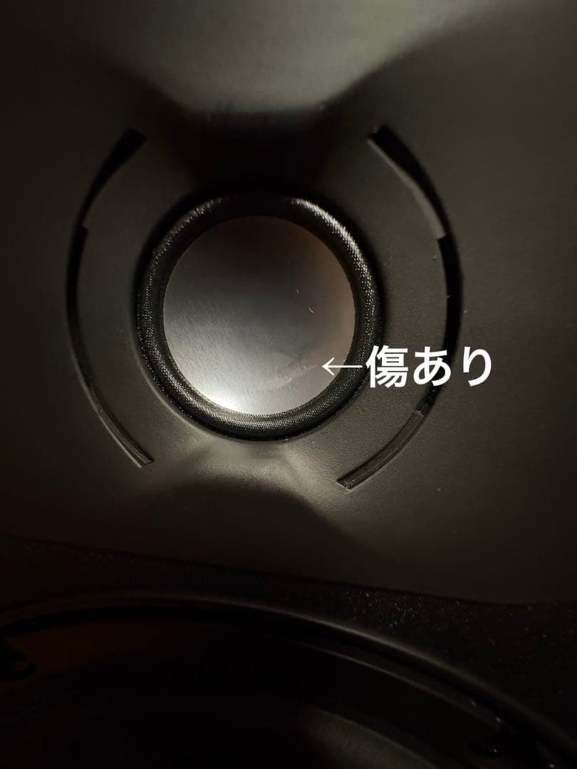 【片方キズあり】FOCAL ALPHA 50 EVO 2台セット
