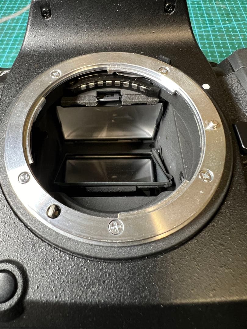 Nikon(ニコン) F6 ボディ オートフォーカス フィルムカメラ