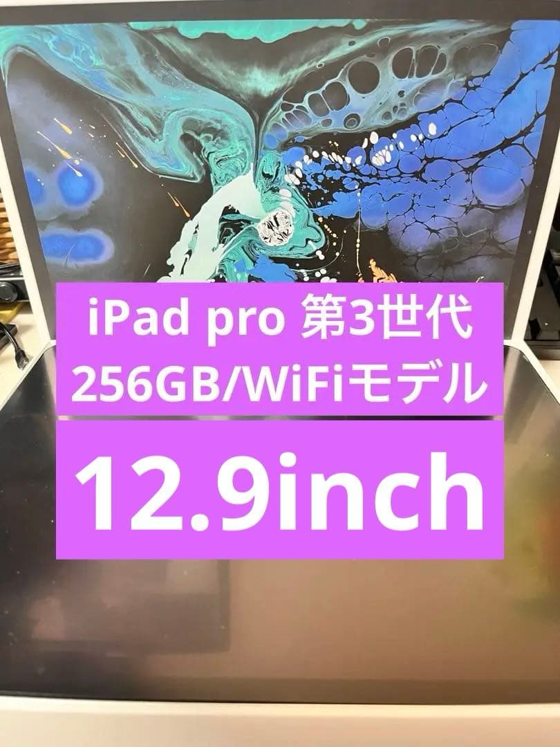 iPad Pro 12.9インチ 第3世代 256GB Wifi おまけ付き