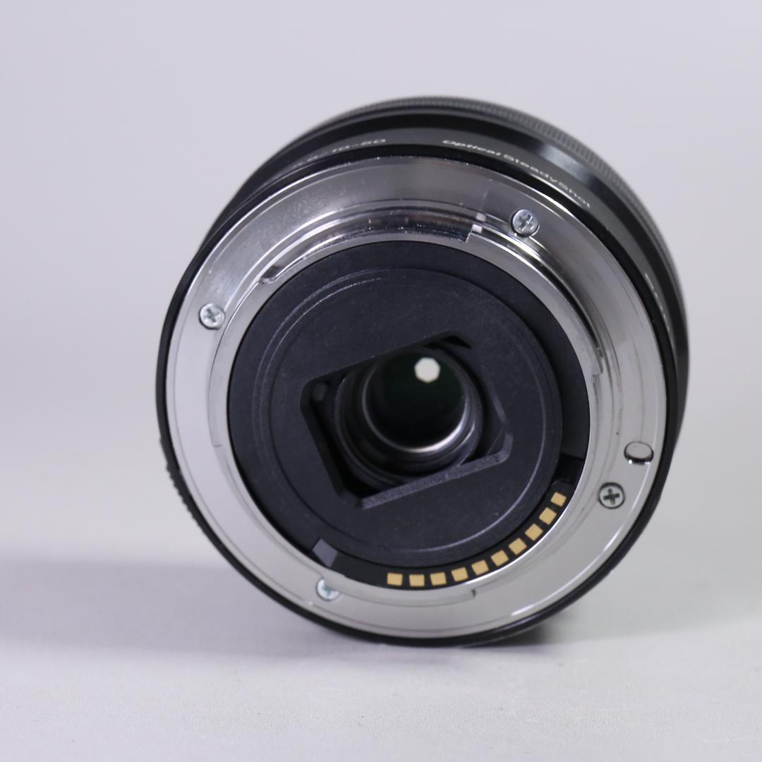 ☆希少カラー☆美品 SONY a6000 E 16-50mm　＃392