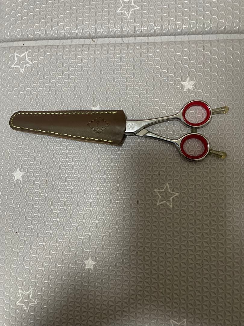 光シザーセニング　トレンディⅣ 744