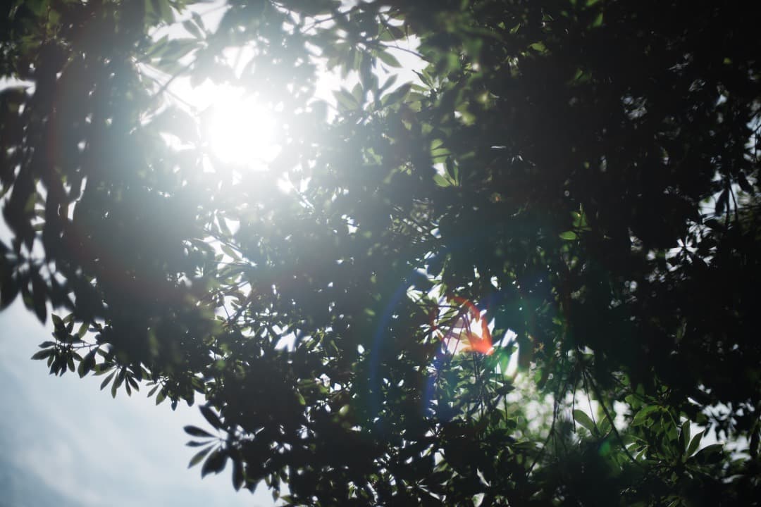 【極美品】動作◎ ニコン　Ai Nikkor 50mm F1.4 871