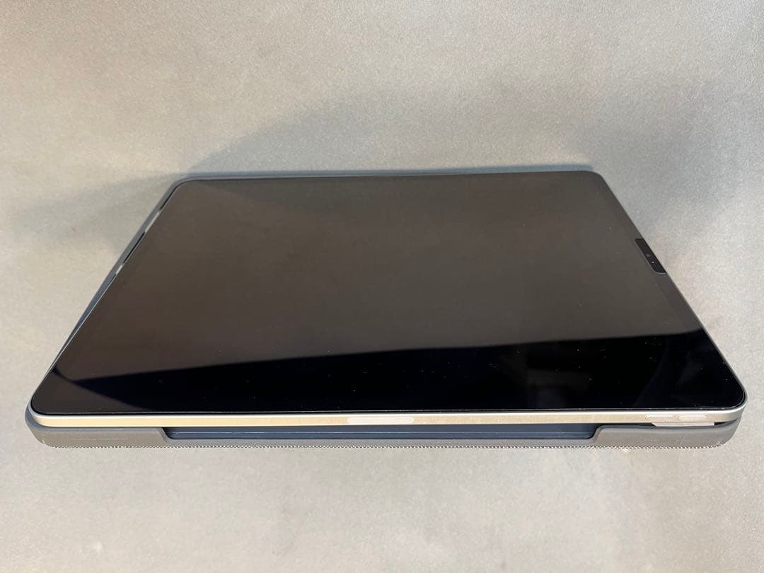 イルサン　iPad Pro 12.9 128GB 第4世代