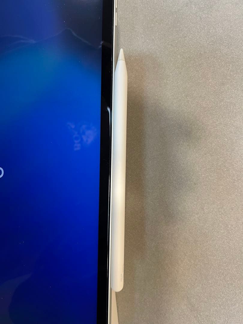 イルサン　iPad Pro 12.9 128GB 第4世代