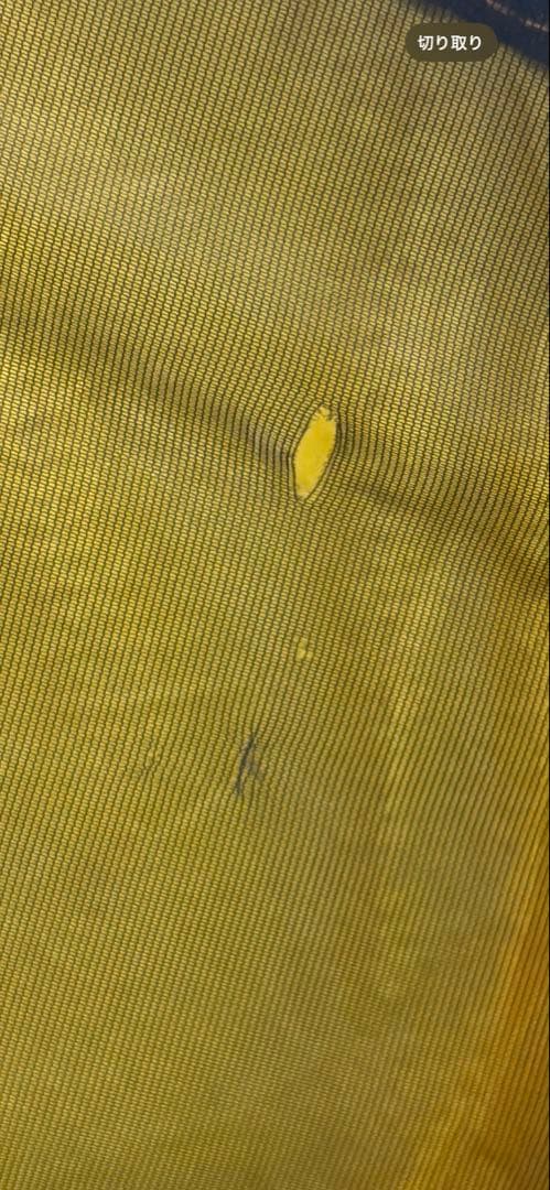 ソーラーフォトン2　グリーン